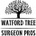 Watford Tree Surgeon Pros
