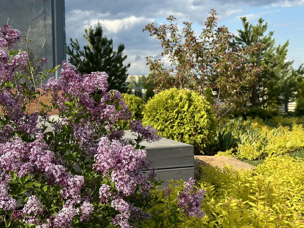 «НА ЗАПОВЕДНЫХ БЕРЕГАХ»