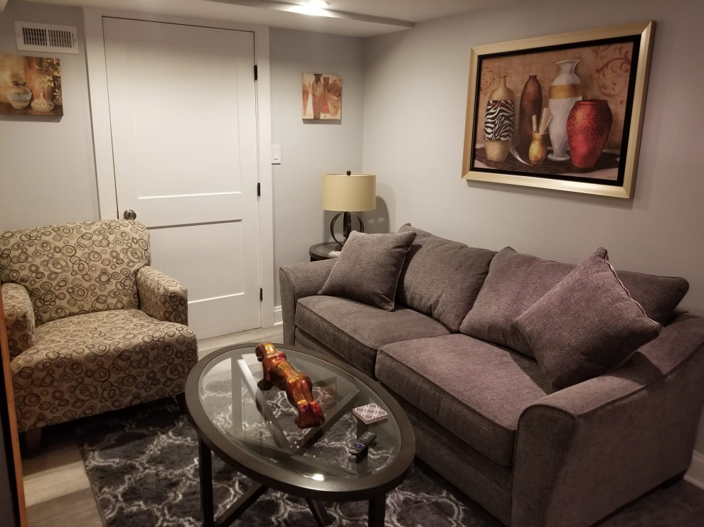 Full Basement Remodel