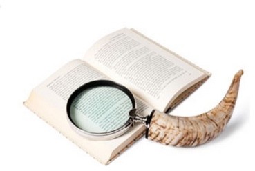 Horn Magnifier by Barbara Cosgrove