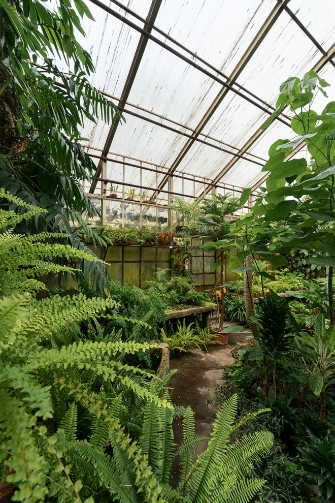 Ботанический сад в сердце Петербурга