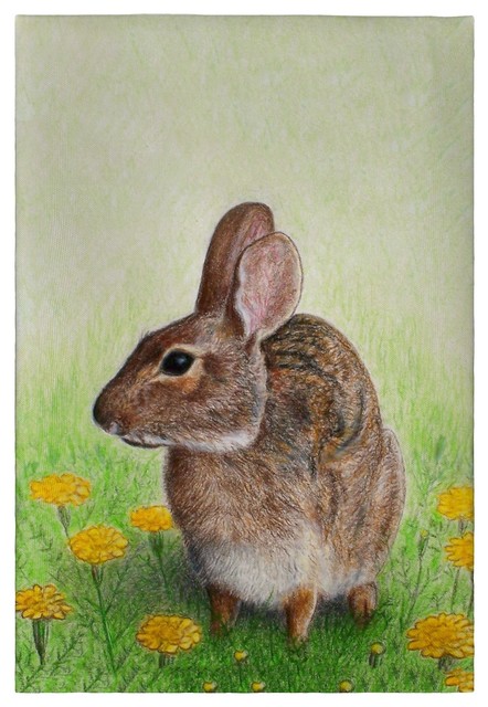 Betsy Drake Rabbit Full Color Print Guest Towel, One Size - Farmhouse ...