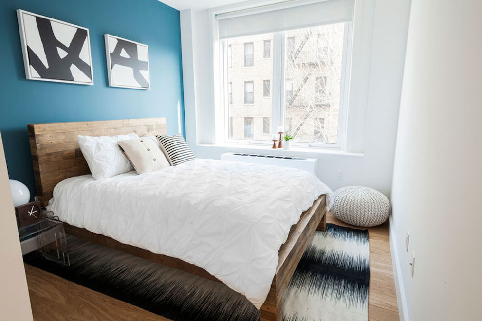 Design ideas for a small contemporary guest bedroom in New York with blue walls, light hardwood floors, no fireplace and brown floor.