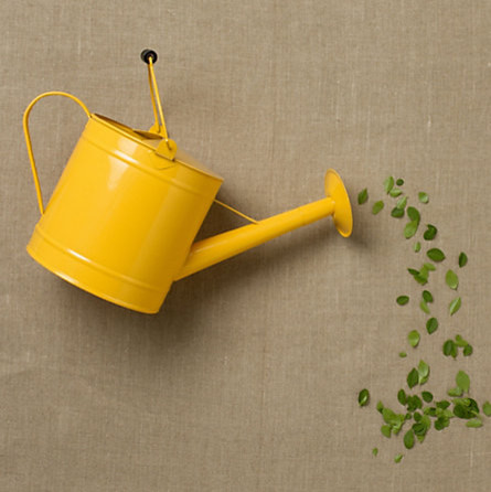 Lemon Utility Watering Can