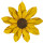 Atlantic Wood N Wares Co LTD