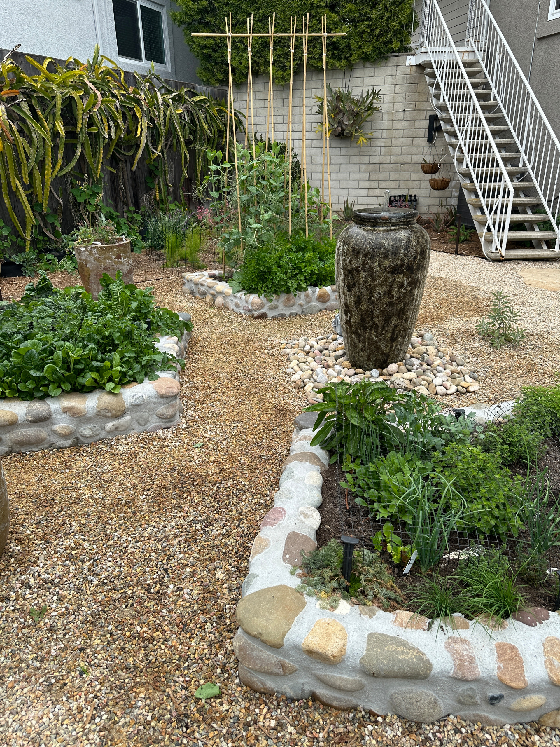 Naturalistic Drought-Tolerant Potager Garden