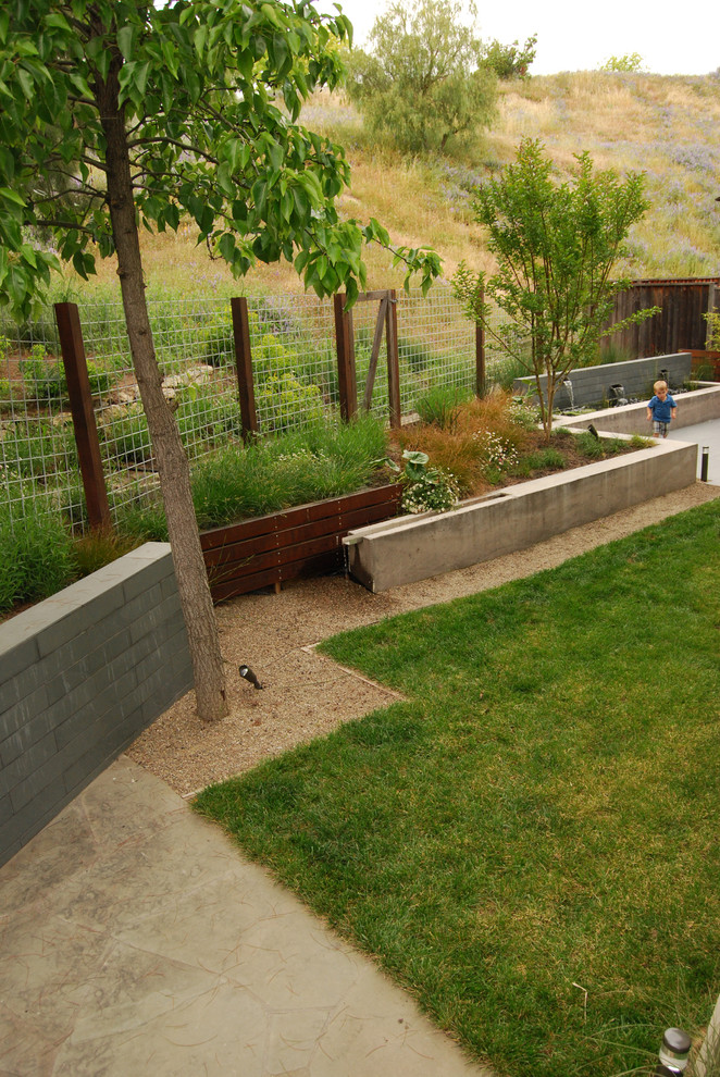 Photo of a mid-sized modern backyard formal garden in San Francisco with a water feature.