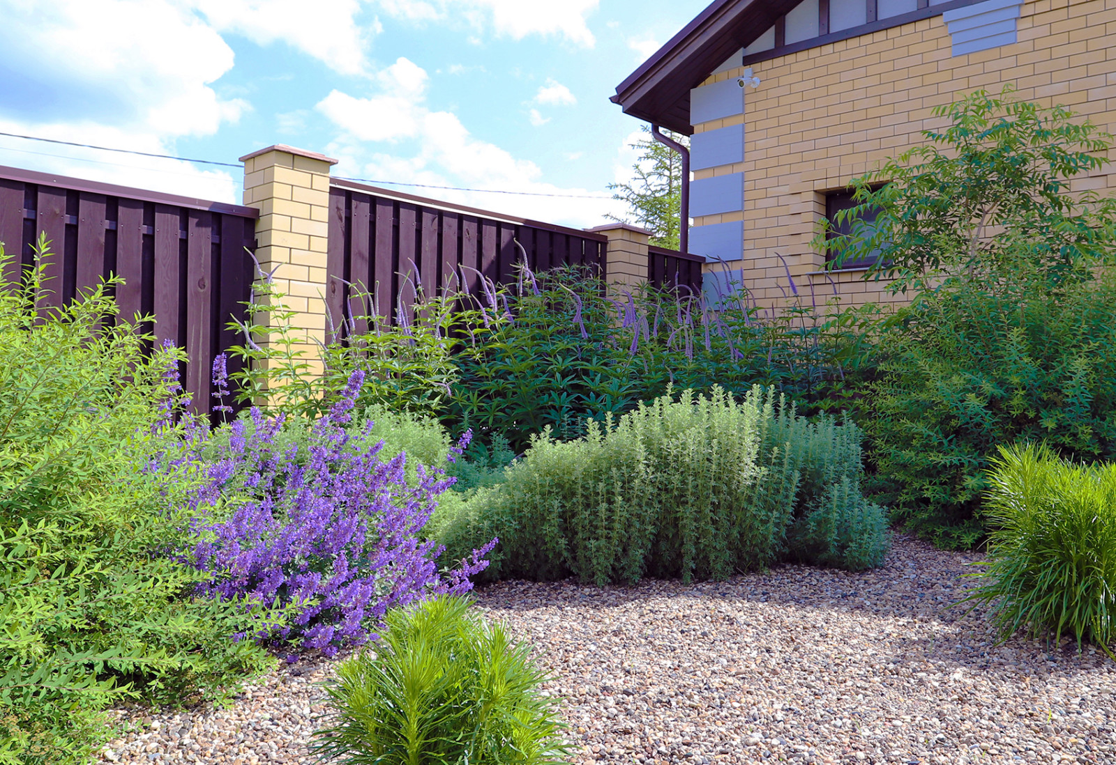 Элимус песчаный в плетеных корзинах и другие сизоватые и серебристые растения