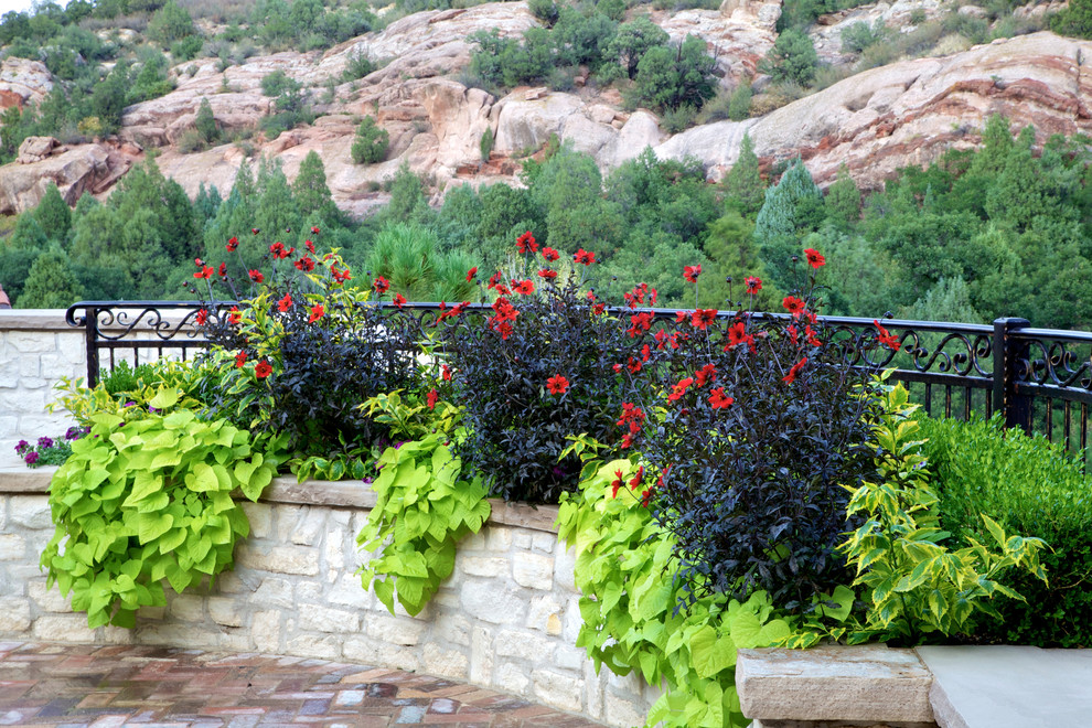 This is an example of a mediterranean garden in Denver.