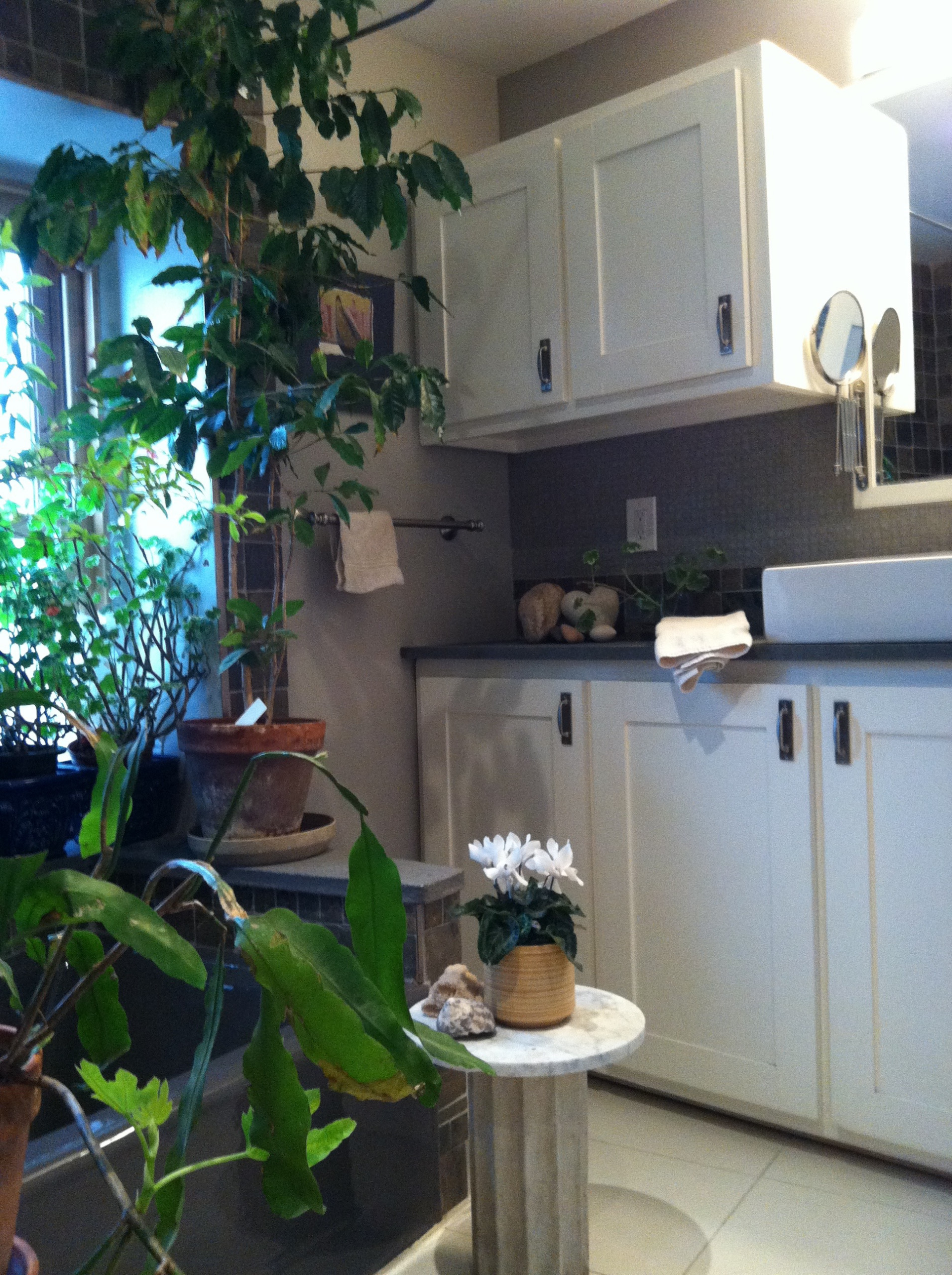 Urban Townhouse Bathroom Renovation