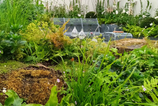 4 Surprising Things You Can — and Should — Leave in Your Garden (4 photos)