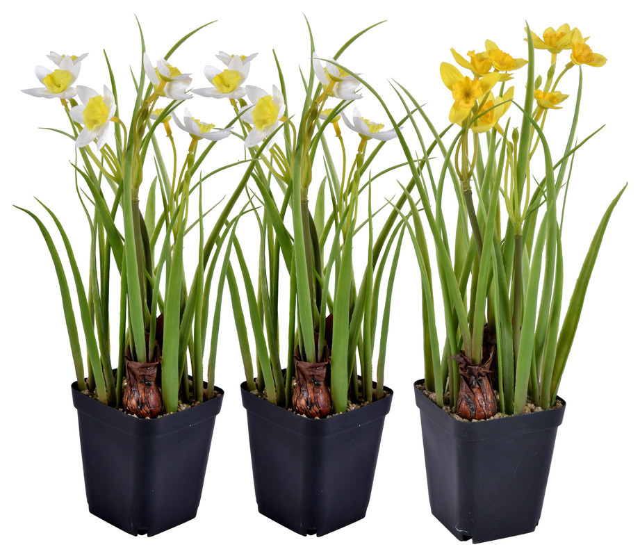 Vickerman 12" Artificial Daffodils in Black Plastic Planters Pots, Set
