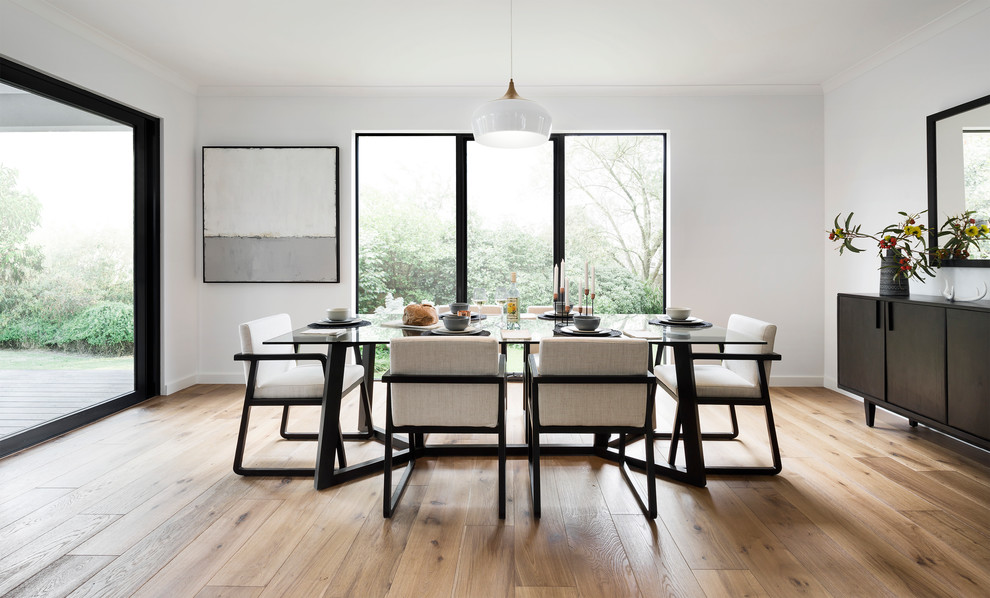 Photo of a contemporary dining room in Melbourne with white walls, medium hardwood floors and brown floor.