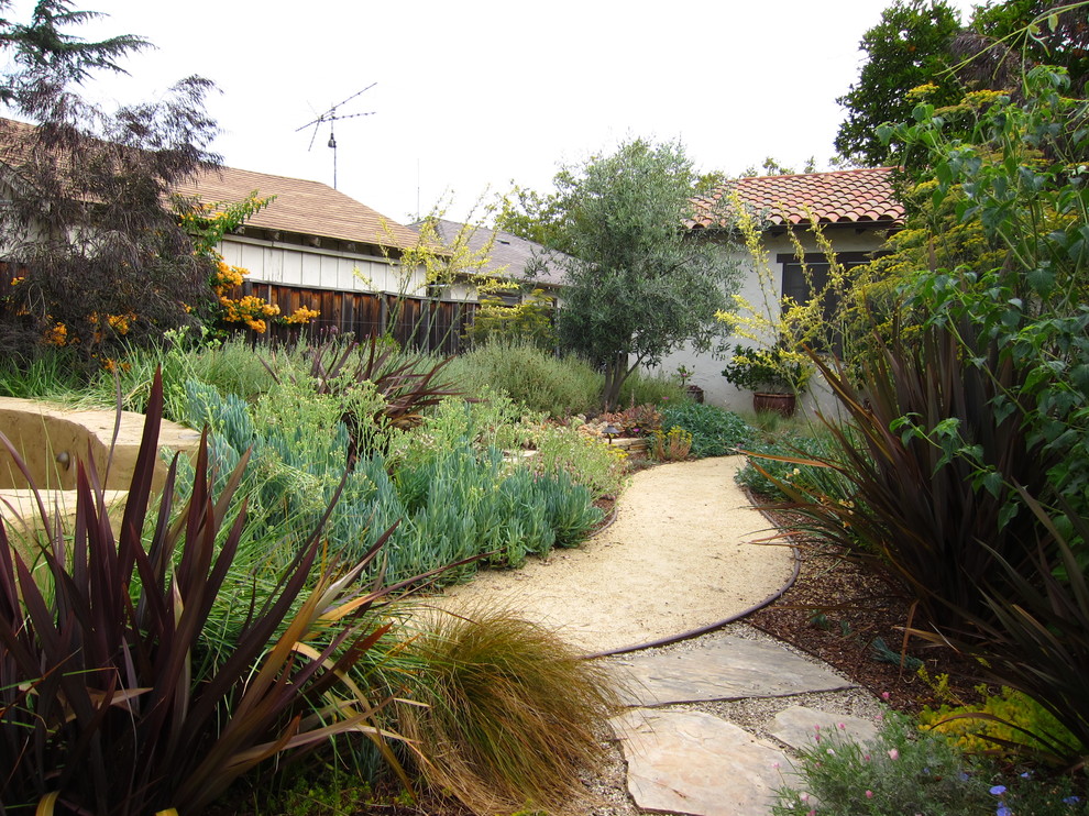 This is an example of a mid-sized mediterranean backyard full sun xeriscape in San Francisco with gravel.