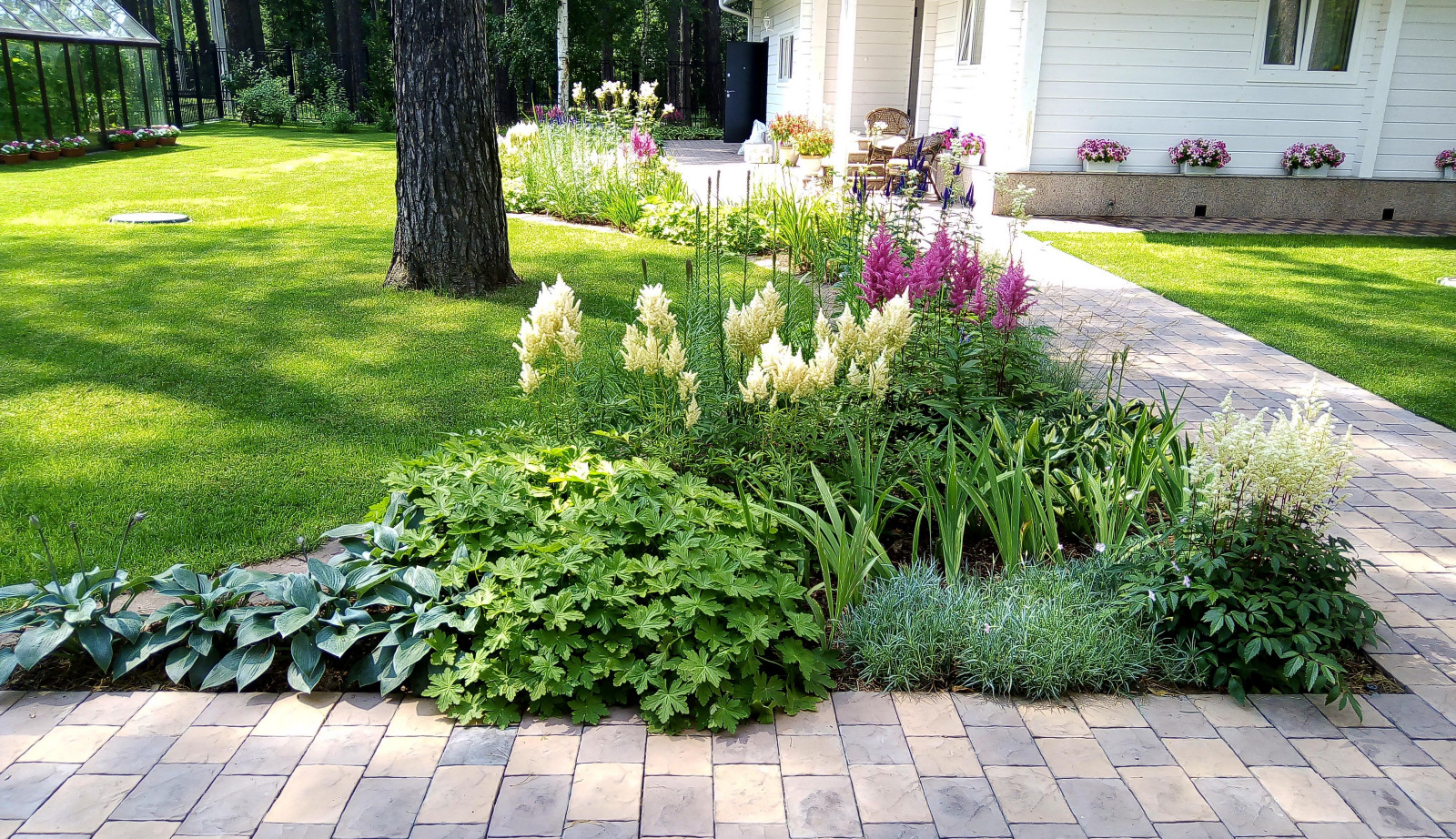 Цветники под пологом леса