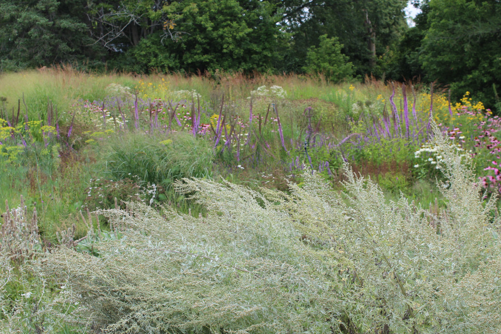 Photo of a huge scandinavian full sun and drought-tolerant front yard garden path in Other for fall.