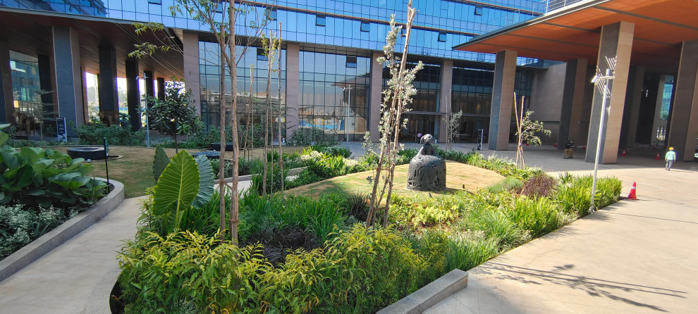 Photo of an Indian garden in Bengaluru.