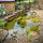 Aquagrace Pond Services