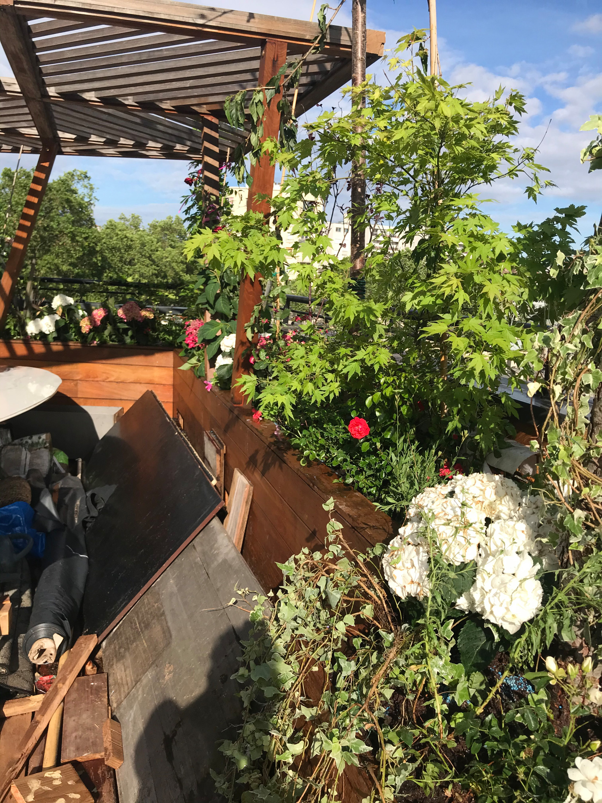 terrasse paysagée Boulogne