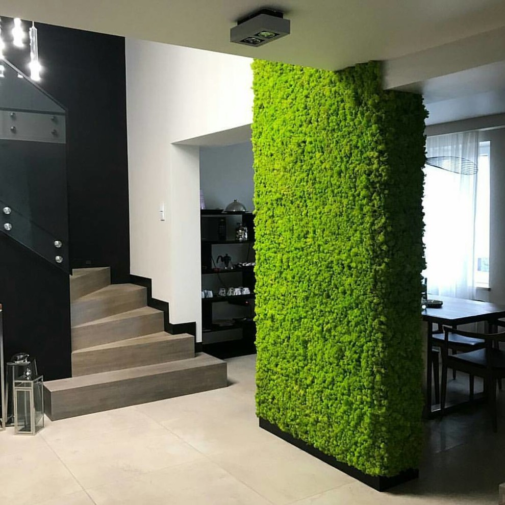 Живой мох в интерьере