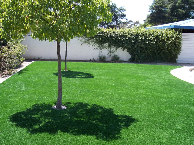 Open Backyard contemporary-garden