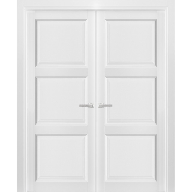 Solid French Double Doors | Lucia 2661 Matte White - Transitional ...