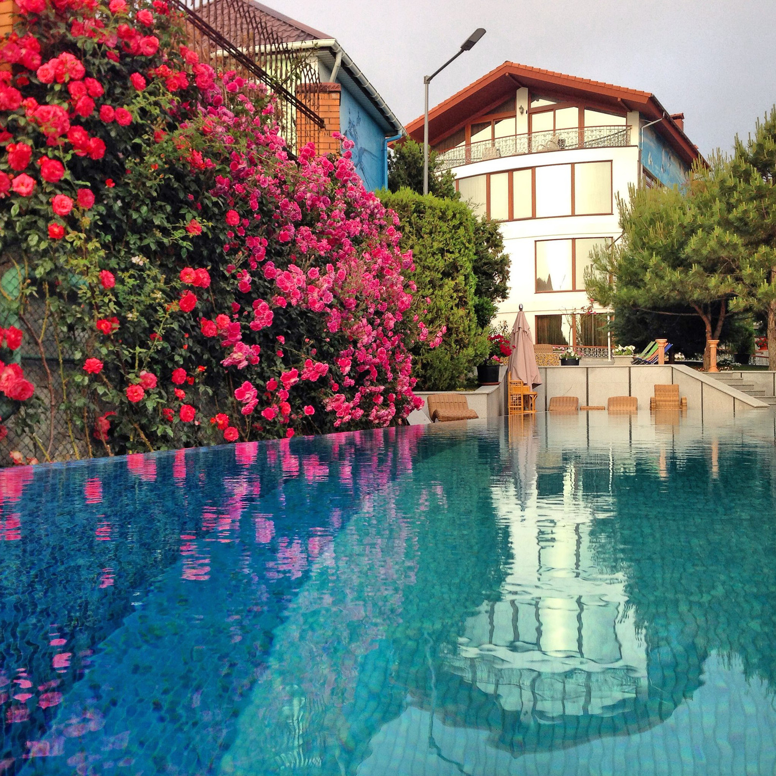 Благоустройство Бассейной зоны проект бассейна в "Вязовой роще" 2012г.