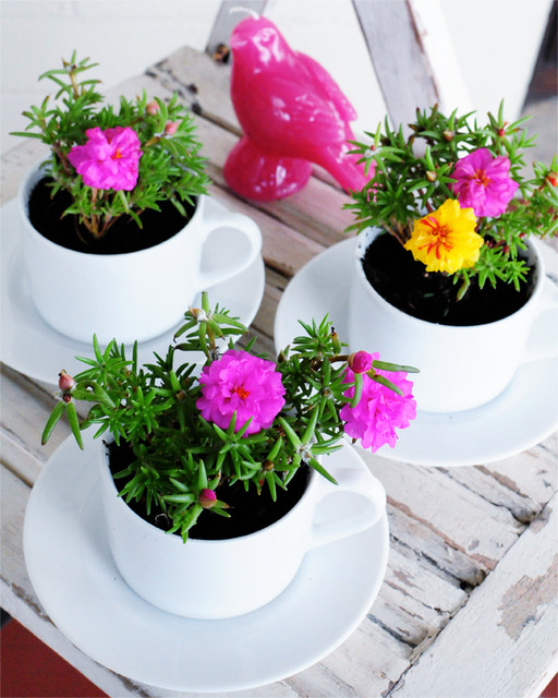 DIY : Transformez vos tasses en pots de fleurs