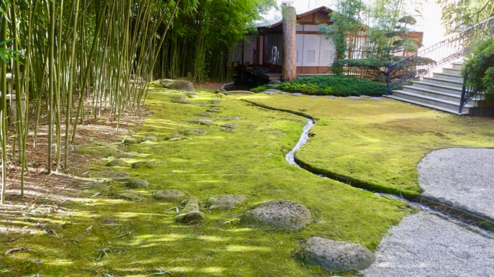 Mittelgroßer, Halbschattiger Asiatischer Gartenweg im Sommer, neben dem Haus mit Natursteinplatten in Sonstige