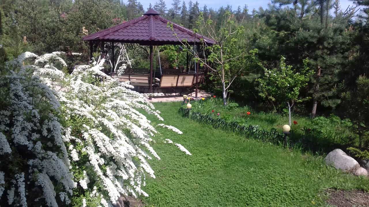 Дизайн  участка "Добрая сказка". Этапы становления.