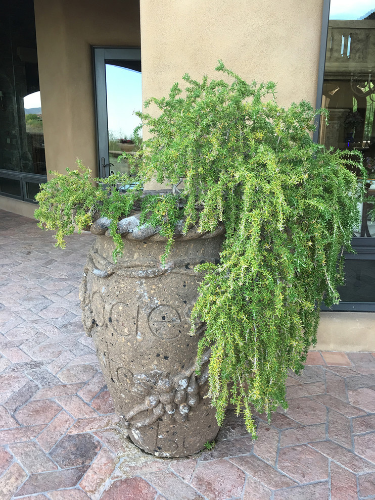 This is an example of a southwestern landscaping in Phoenix.