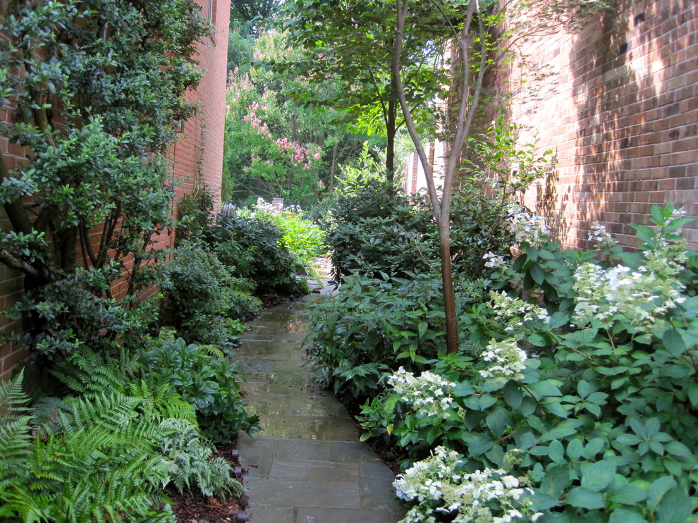 A Few Other Projects, DC Metro Area