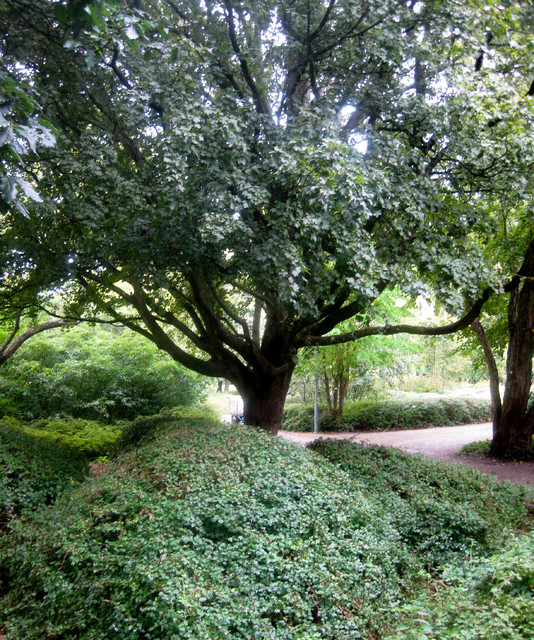 Gr&ouml;nt garden
