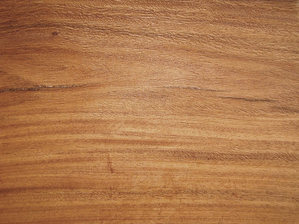 Buche, Eiche, Kiefer oder Birke? 8 Holzarten für Möbel im Vergleich