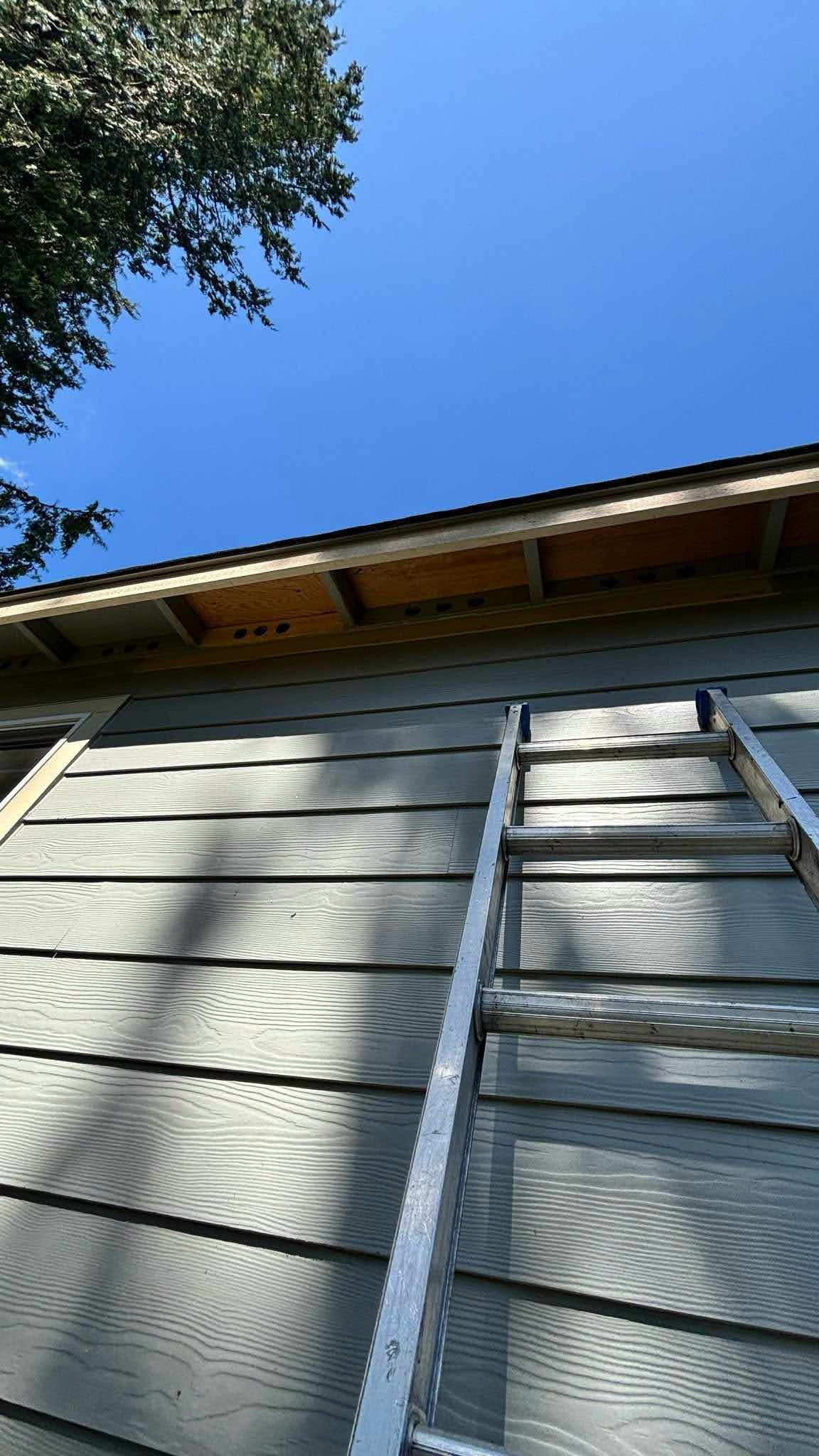 Roof Replacement