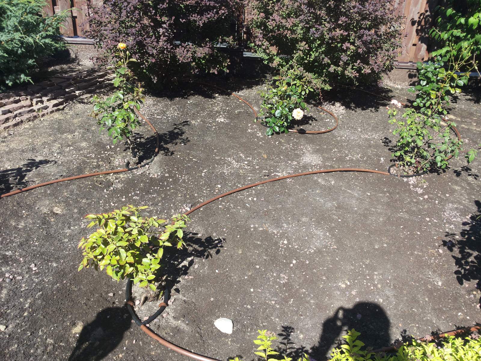 Автоматический полив в Московской области