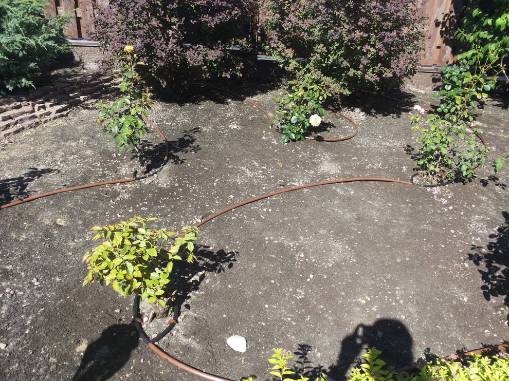 Автоматический полив в Московской области