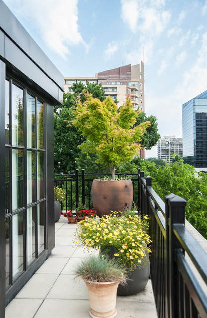 Arlington Loft Terrace contemporary-terrace