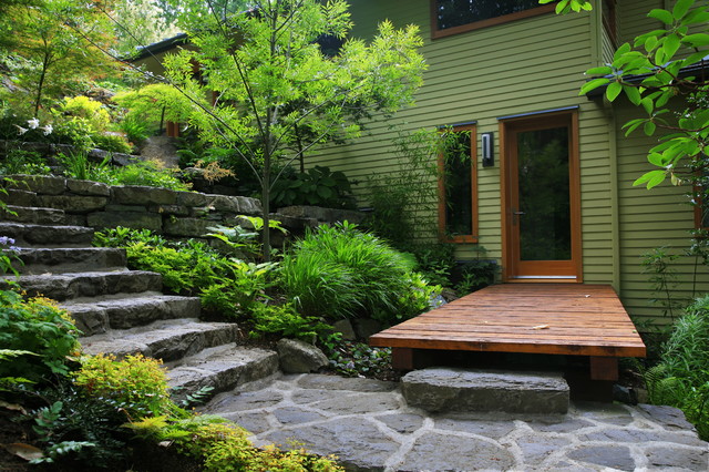 Lakeside woodland garden