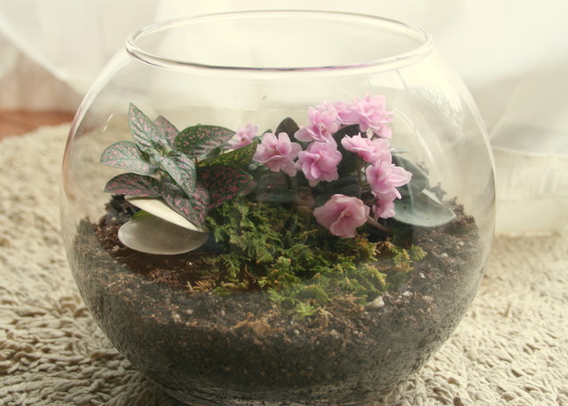 Plants and Coffee // Let's make a coffee pot Terrarium! — A Charming Project