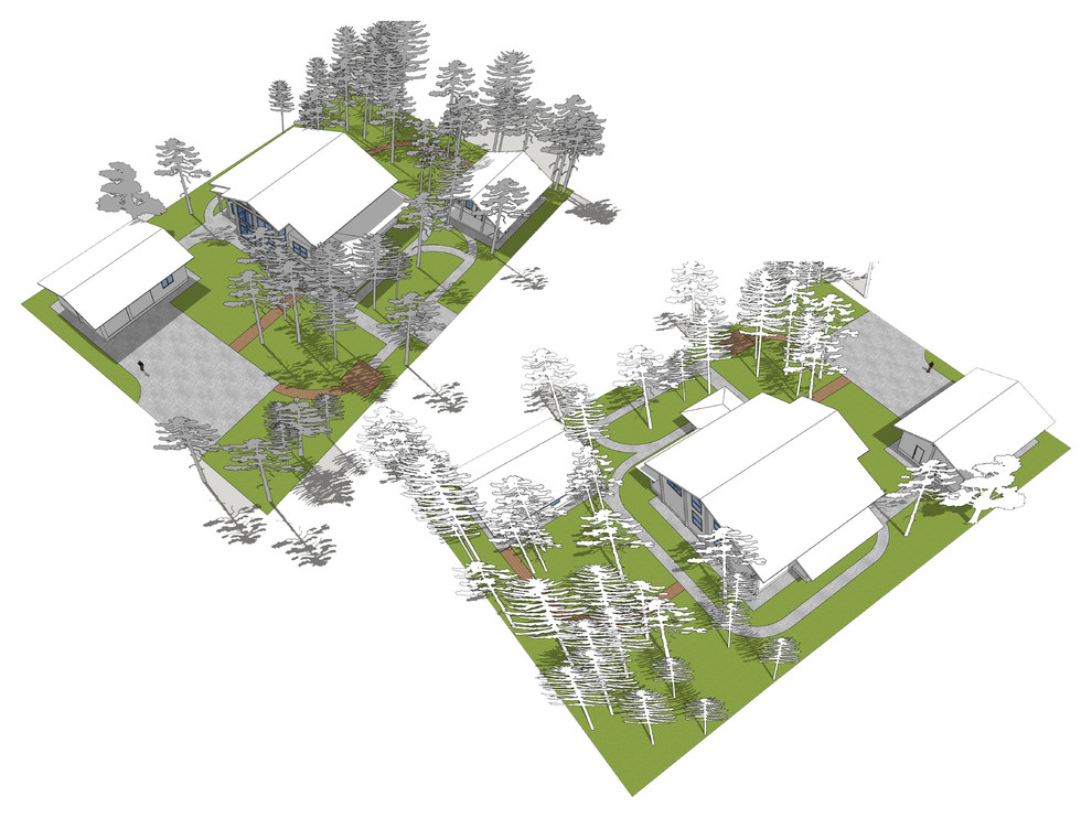 Проект "Золотой Бор"