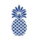 Blue Pineapple Inc.