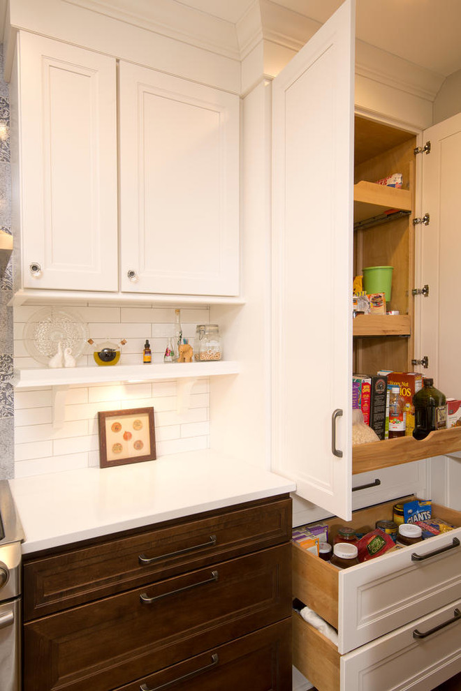 Inspiration for a transitional home design remodel in Minneapolis