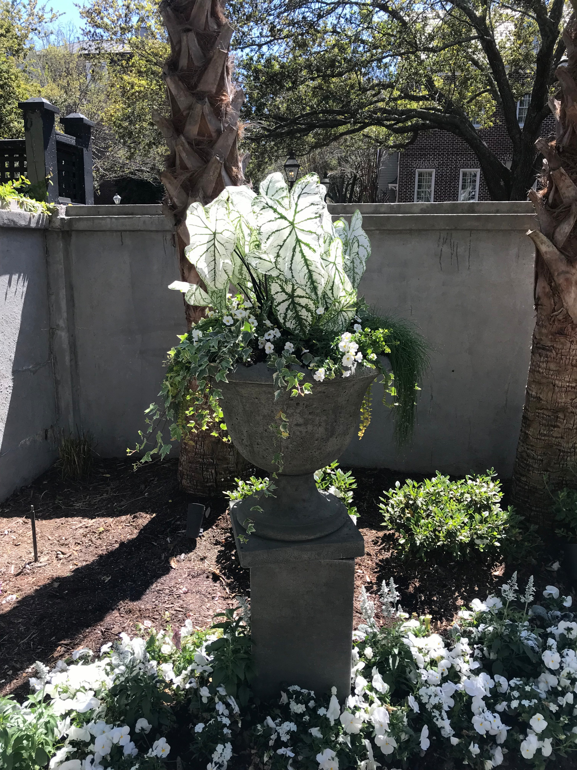 Historic Garden Renovation