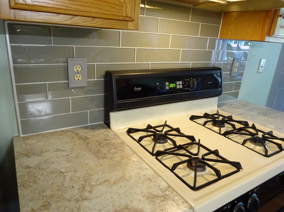 Transitional home design photo in Chicago