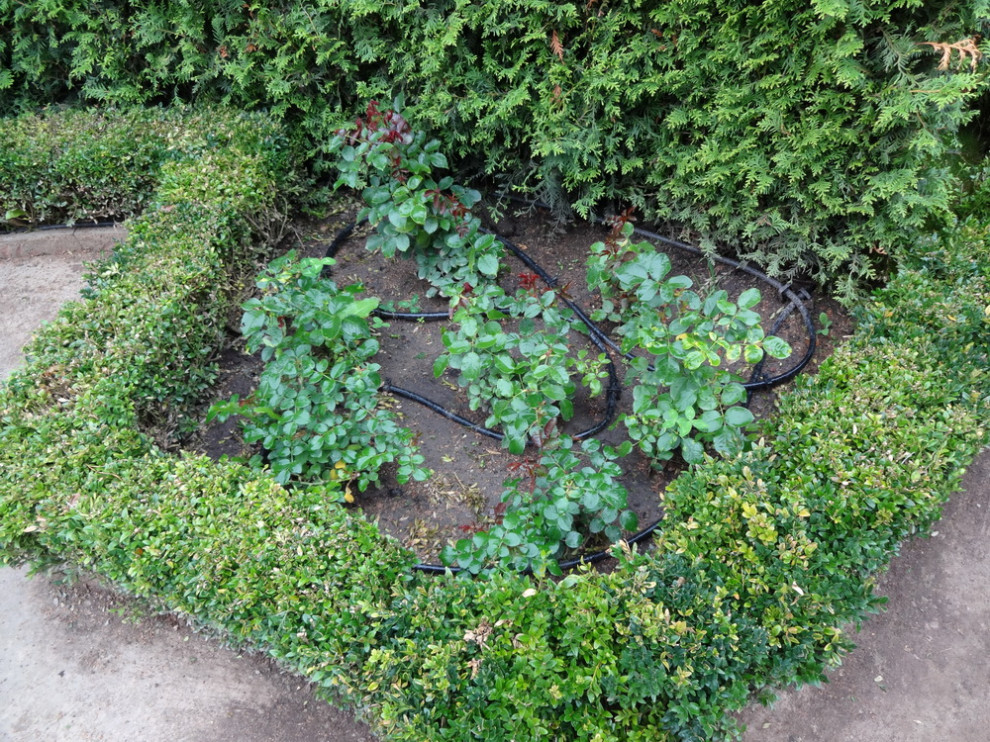 Капельный полив цветников и кустарников