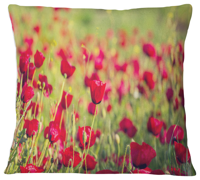 Beautiful Poppy Flowers Background Flower Throw Pillow Contemporary Decorative Pillows By Designart