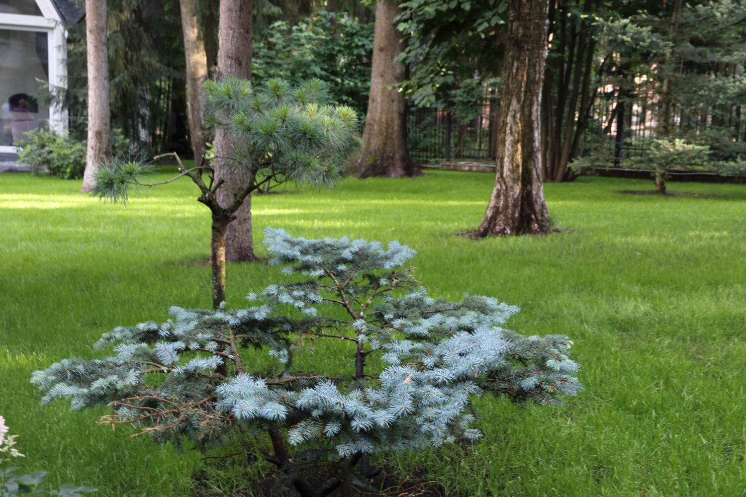 Коттеджный поселок. Руза