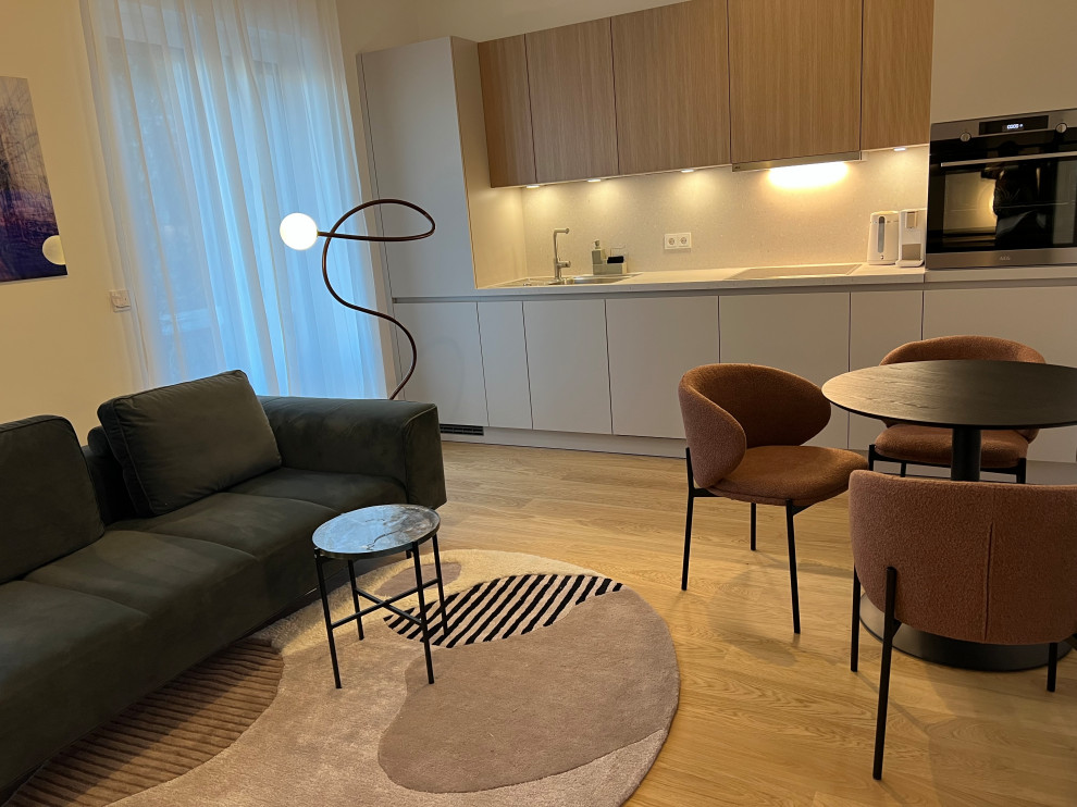 Leipzig Apartment