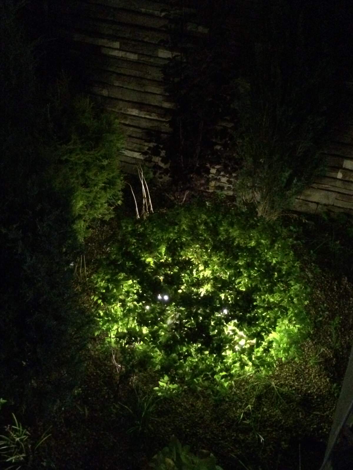 Светодиодное ландшафтное освещение пос. Росинка